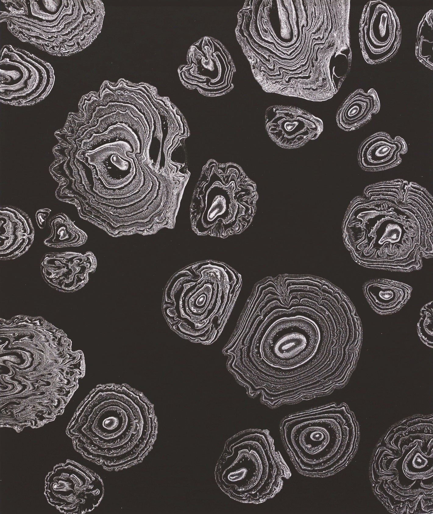 WHAT MUSEUM、2023年4月28日（金）より公開制作：能條雅由「うつろいに