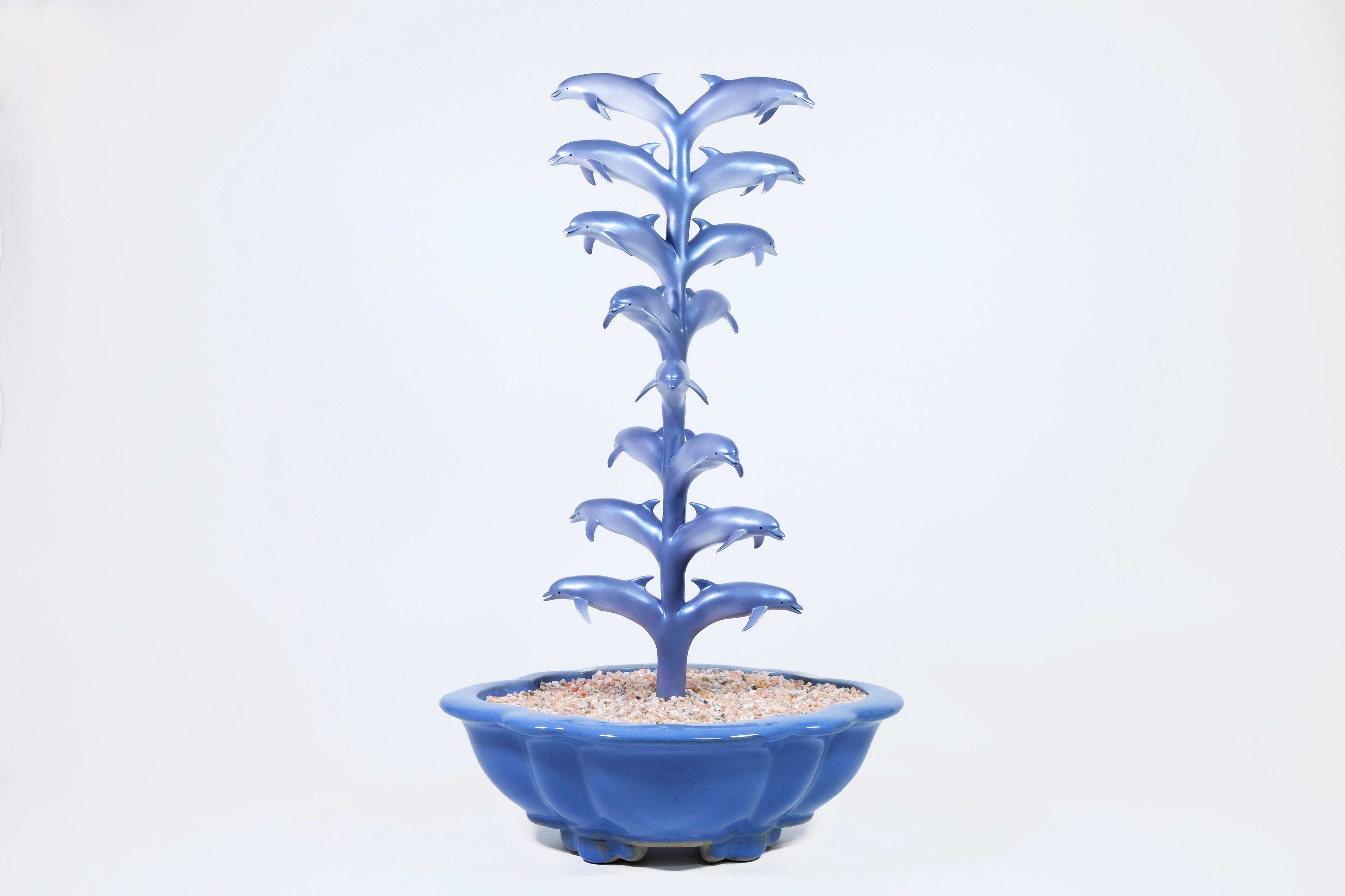 王之玉「Dolphin Tree」