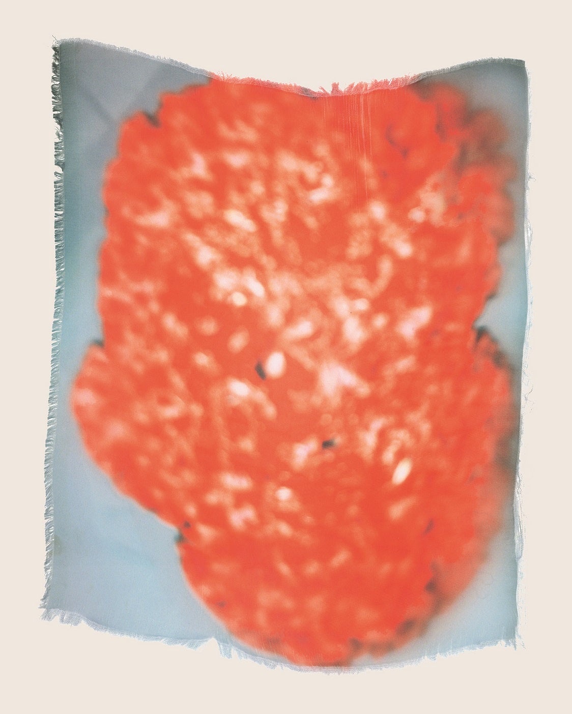 遠藤文香「Swaying Flowers」