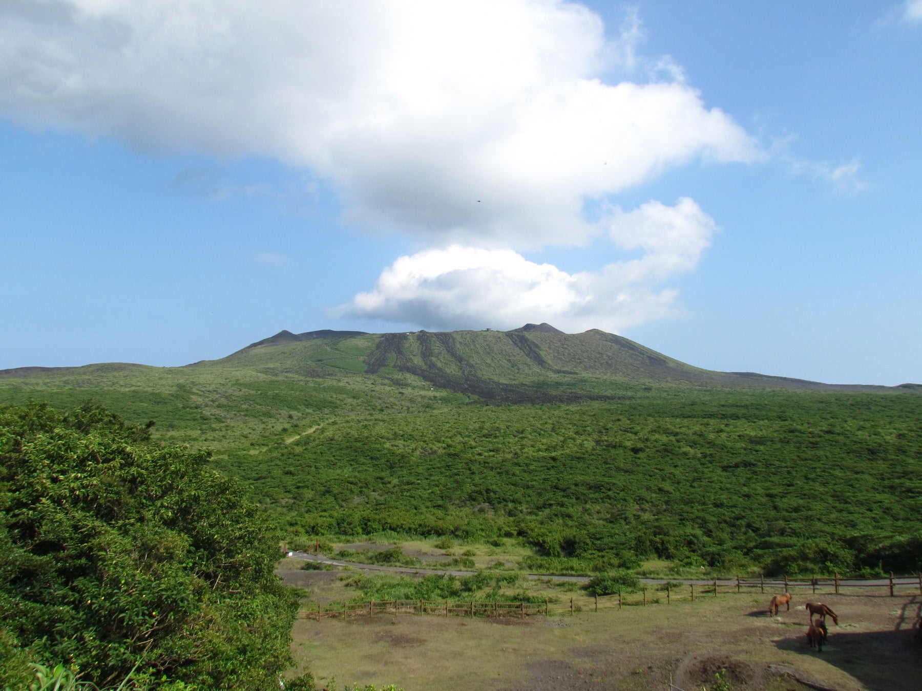 第8回「山の日」全国大会 島しょ魅力体験ツアー開催決定! 第8回「山の日」全国大会 島しょ魅力体験ツアー開催決定!