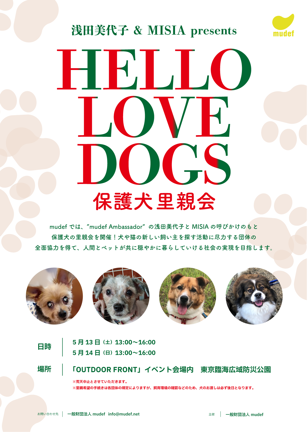 浅田美代子&MISIA presents”HELLO LOVE DOGS 保護犬里親会”開催