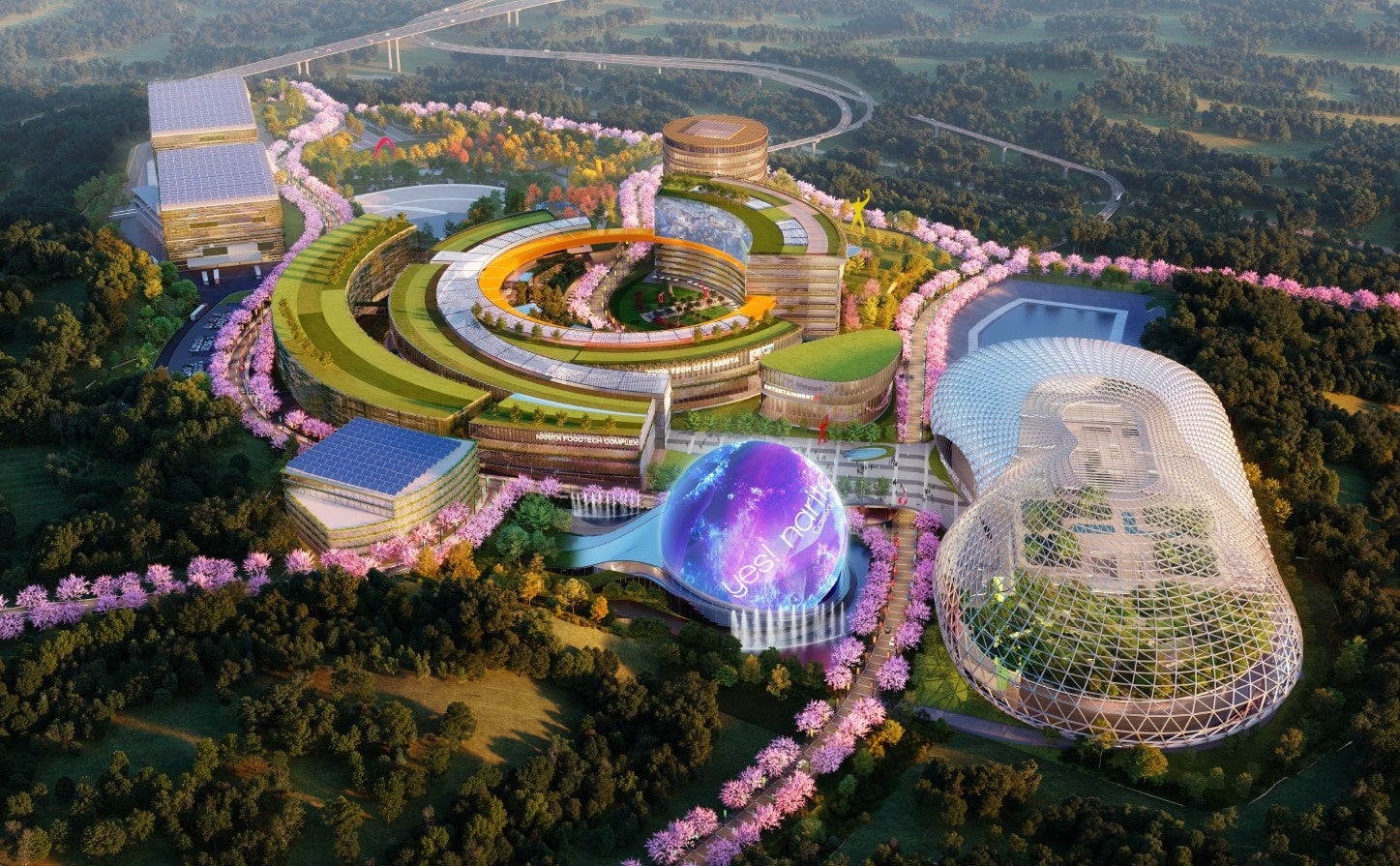 全体鳥瞰図（イメージ図） ＜マスタープラン設計　ラグアルダ・ロー・アーキテクツ＞