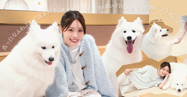 サモエドカフェmoffu」×「FREAK'S STORE」コラボ商品発売 サモエドカフェmoffu」×「FREAK'S STORE」コラボ商品発売