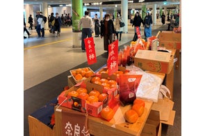 奈良県、県産柿の北海道への販路拡大に取り組むと発表、販売地域を広げる方針を示す