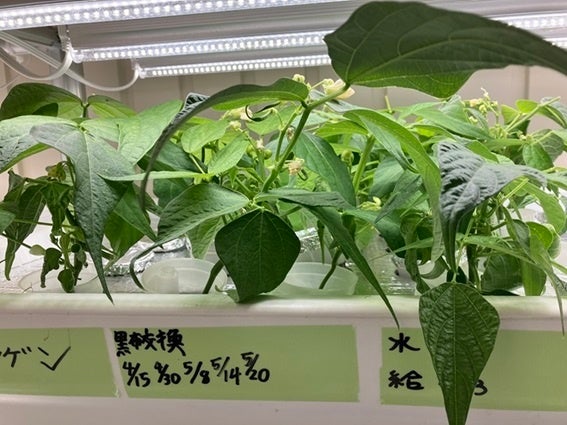 作業を行った日付を記録して管理