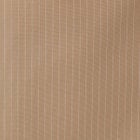 カラー：ベージュ系