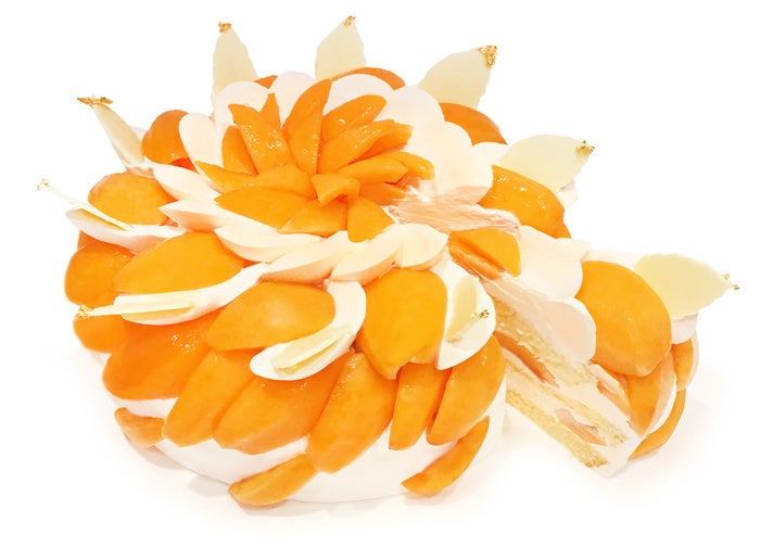 福岡県 岡垣町産「高倉びわ」と紅茶クリームのショートケーキ