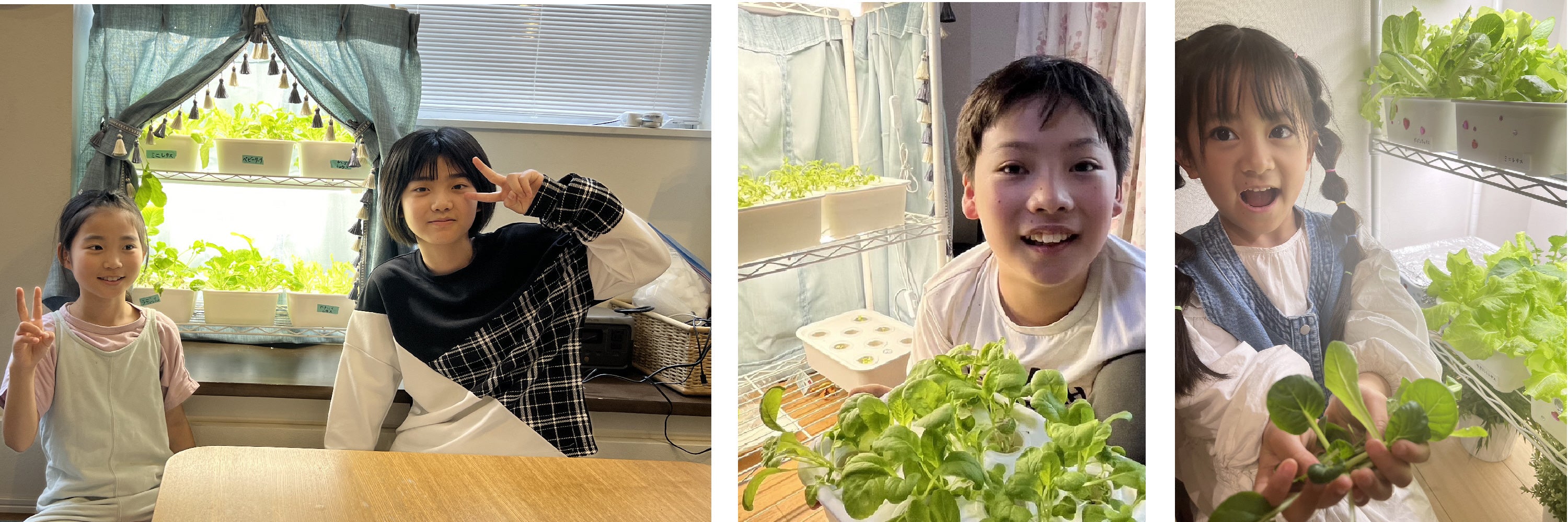 実証実験の子達