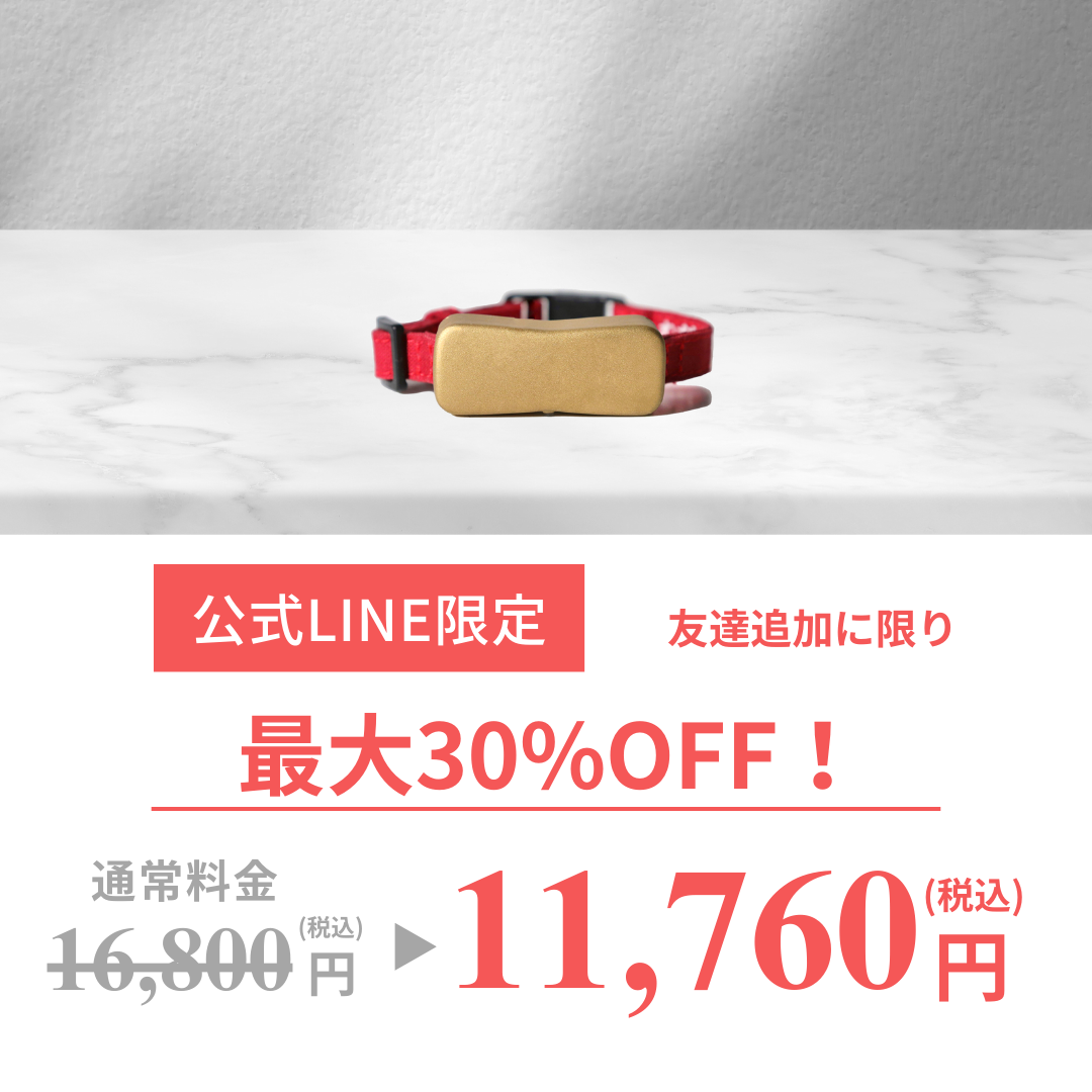 愛猫向けGPSスマート首輪「ねこなら」の7月開始予定の先行体験に向けた