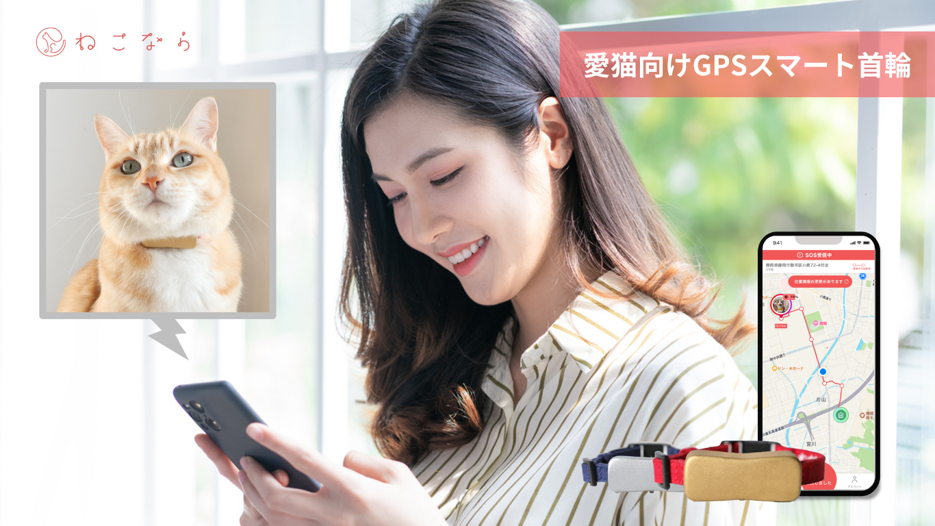 ちびねこ 直接受け渡し y880428-2.jpg