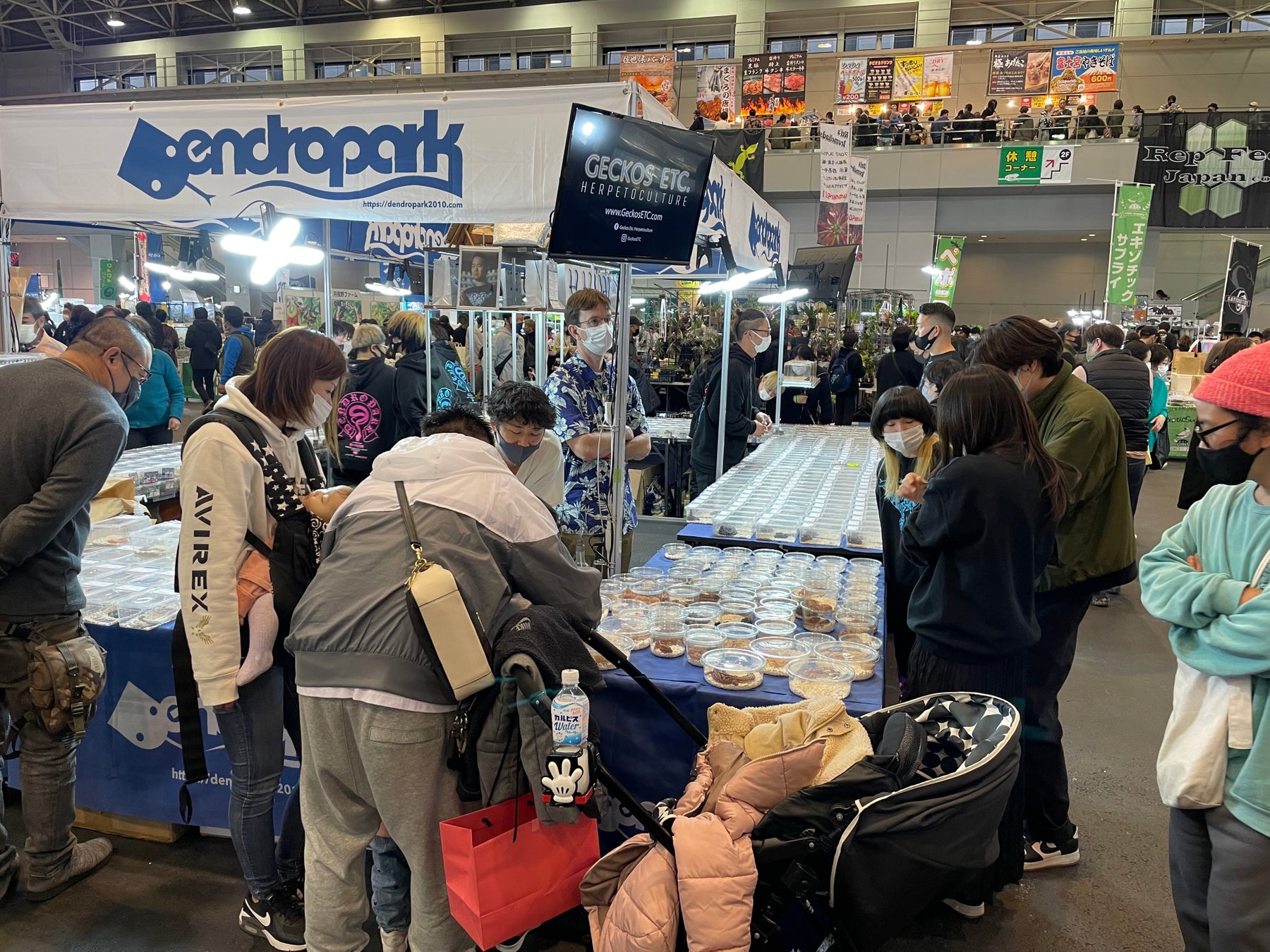 関西初開催!国内最大の爬虫類イベント「ジャパンレプタイルズショー」京都パルスプラザで開催! 関西初開催!国内最大の爬虫類イベント「ジャパンレプタイルズショー」京都パルスプラザで開催!