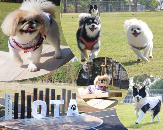 【群馬県太田市】愛犬家の皆さまに嬉しいニュース♪ドッグパークおおたがオープン! 【群馬県太田市】愛犬家の皆さまに嬉しいニュース♪ドッグパークおおたがオープン!