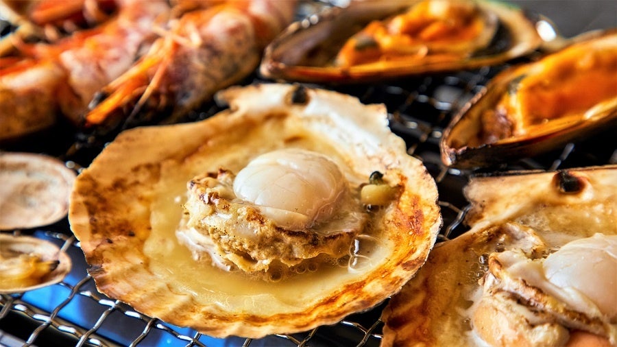 大好評 牡蠣 浜焼き食べ放題90分が1 980円 9月5日 月 15日 木 の期間限定 浜韓 ハマーカーン 千葉店 静岡店の2店舗でキャンペーン価格 株式会社tbi Japanのプレスリリース 大好評 牡蠣 浜焼き食べ放題90分が1 980円 9月5日 月 15日 木 の期間限定 浜韓 ハマーカーン 千葉店 静岡店の2店舗でキャンペーン価格 株式会社tbi Japanのプレスリリース