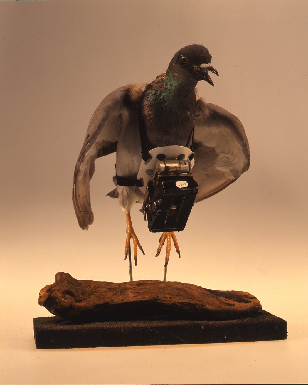 ドッペル・シュポルト／ユリウス・ノイブロンナー／1908年頃