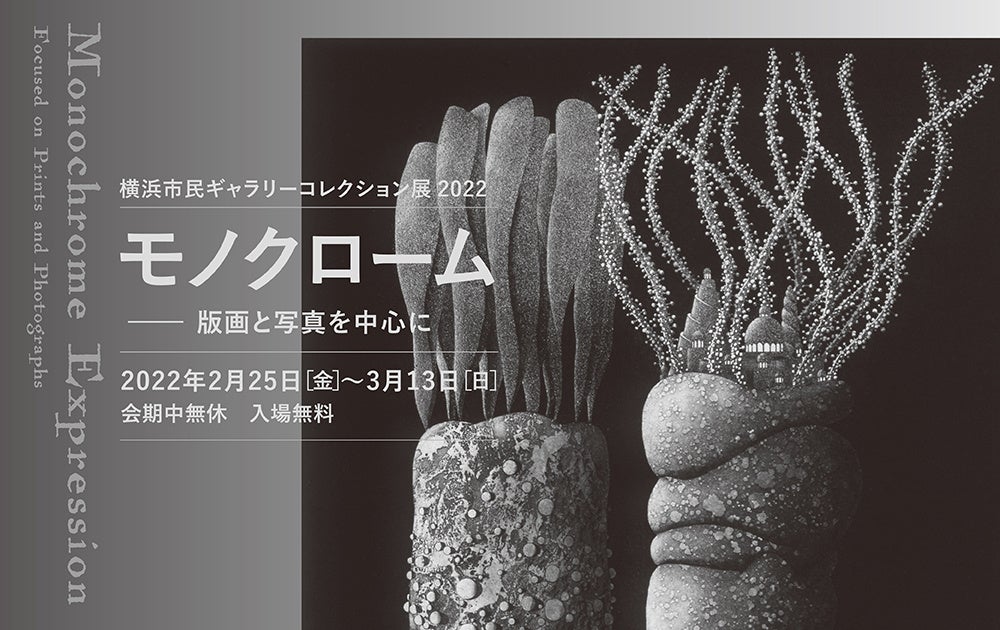 横浜市民ギャラリー】「コレクション展2022 モノクローム ―版画