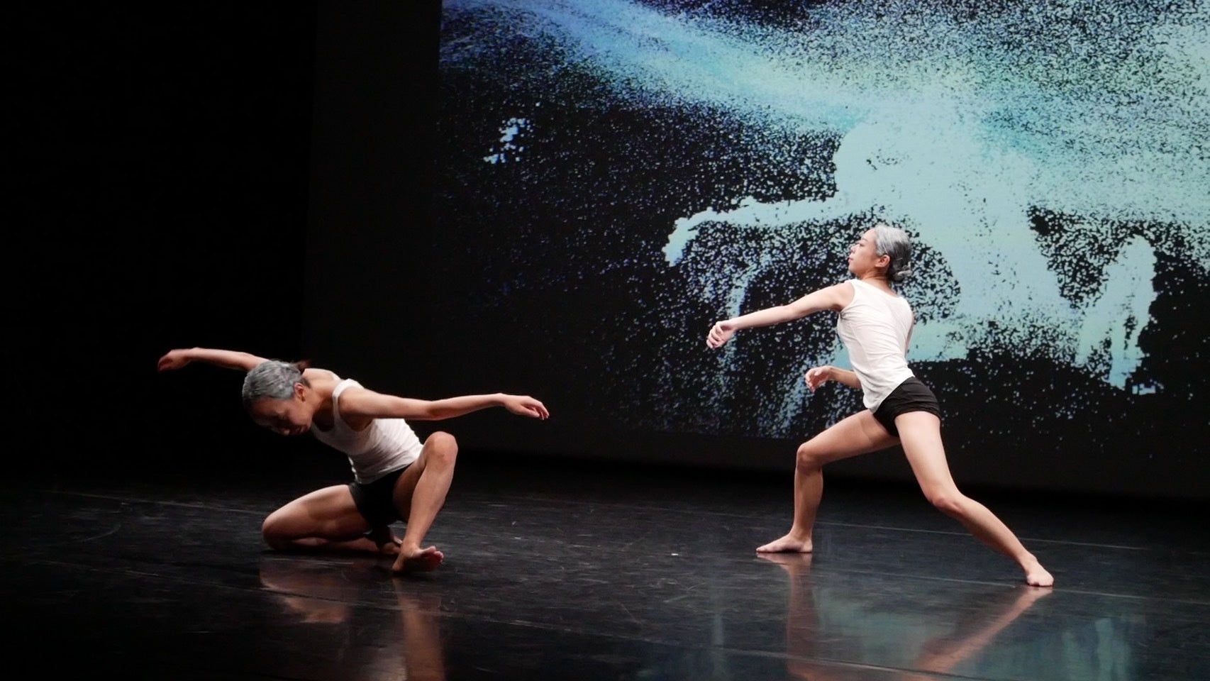 Somatic Field Project（演出：梅田宏明）