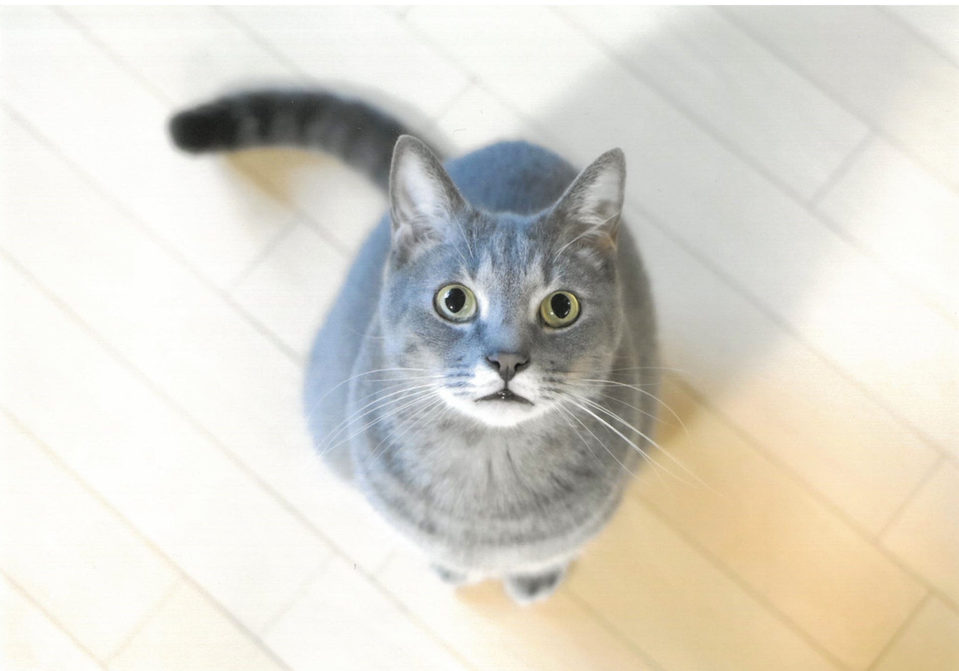 ねぇ。見つめ合おうよ。(ゆずなつ)