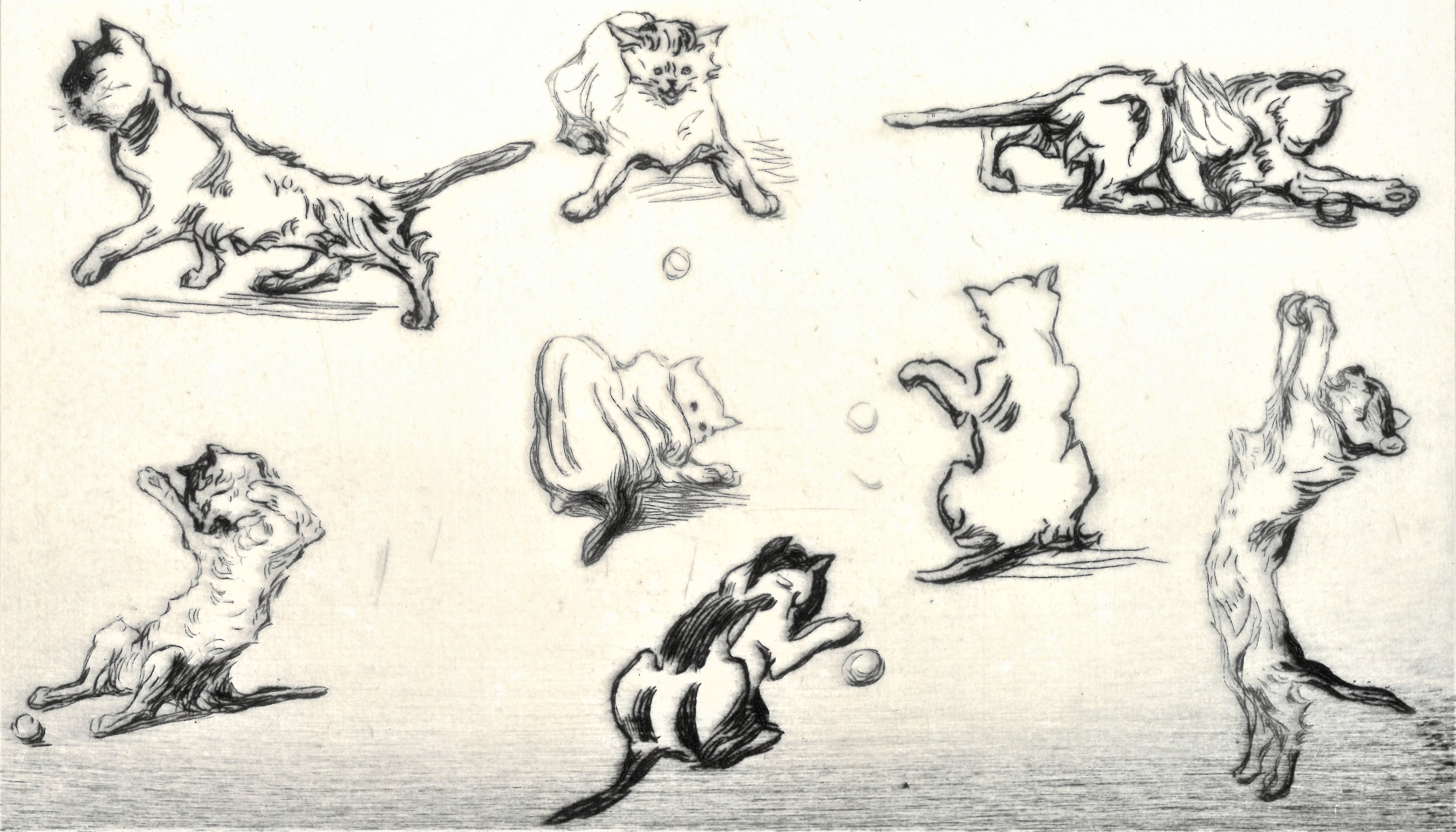 ポール・ルヌアール《伸び上がる猫》(部分)1907年