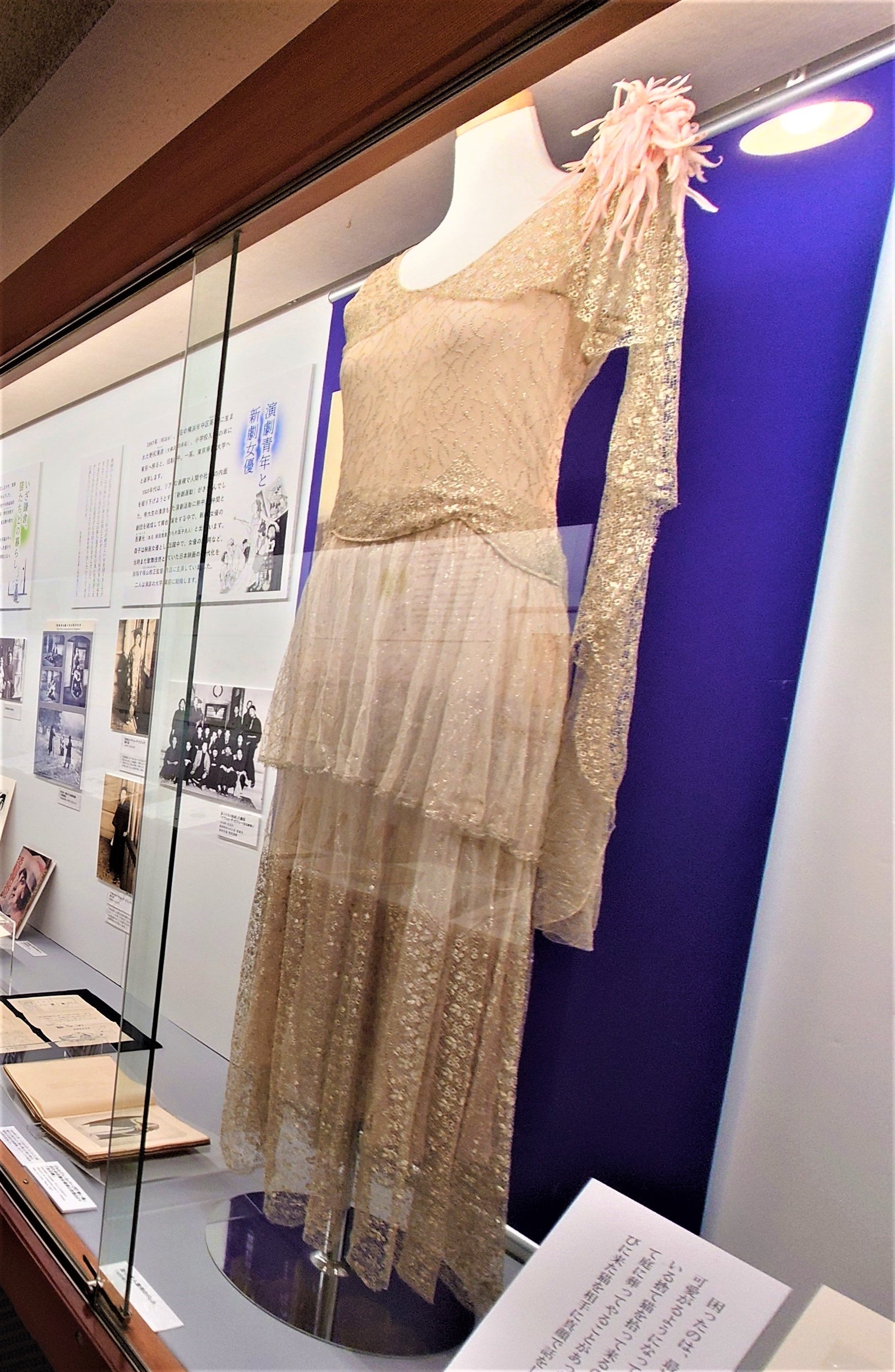 酉子夫人着用のドレス　1920年代 （画像は前期展示風景、後期はワンピースを展示）