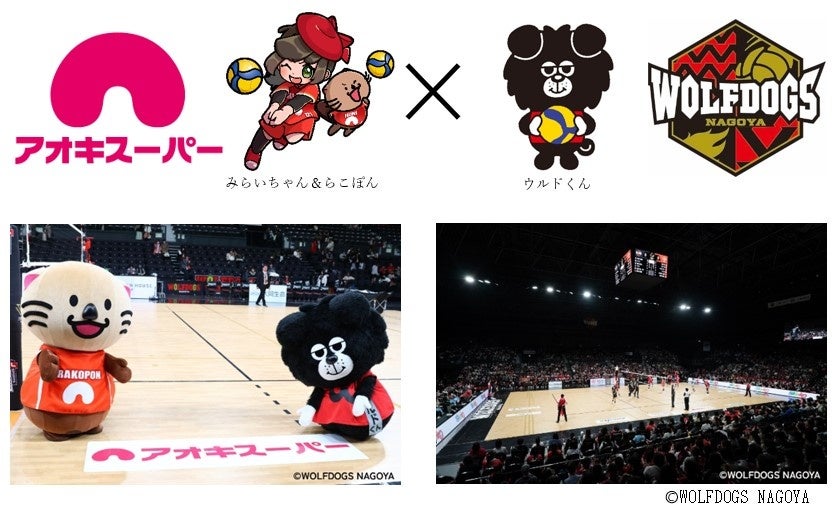 男子バレーボールチーム『ウルフドッグス名古屋』とオフィシャルパートナー契約を締結