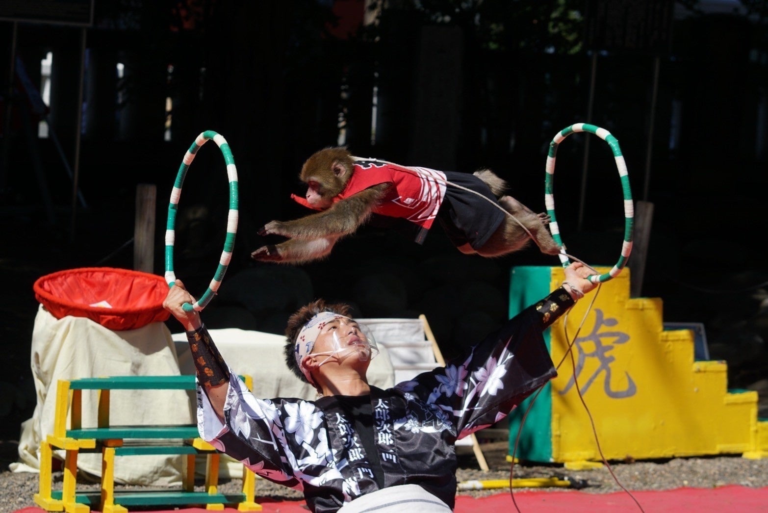 猿回し（イメージ）