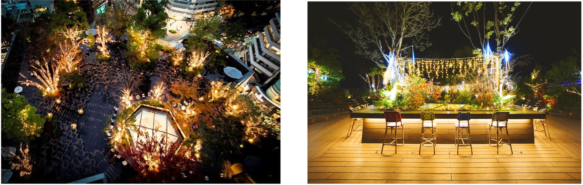 OMOHARA Christmas Illumination: A Forest of Falling Stars in the Heart of the City OMOHARA Christmas Illumination: A Forest of Falling Stars in the Heart of the City