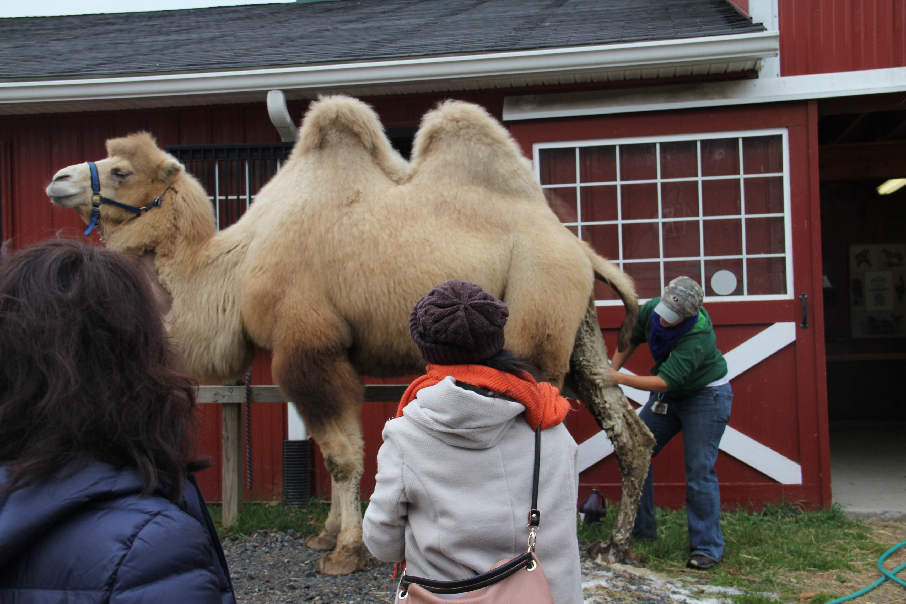 グリーンチムニーズでの研修の様子