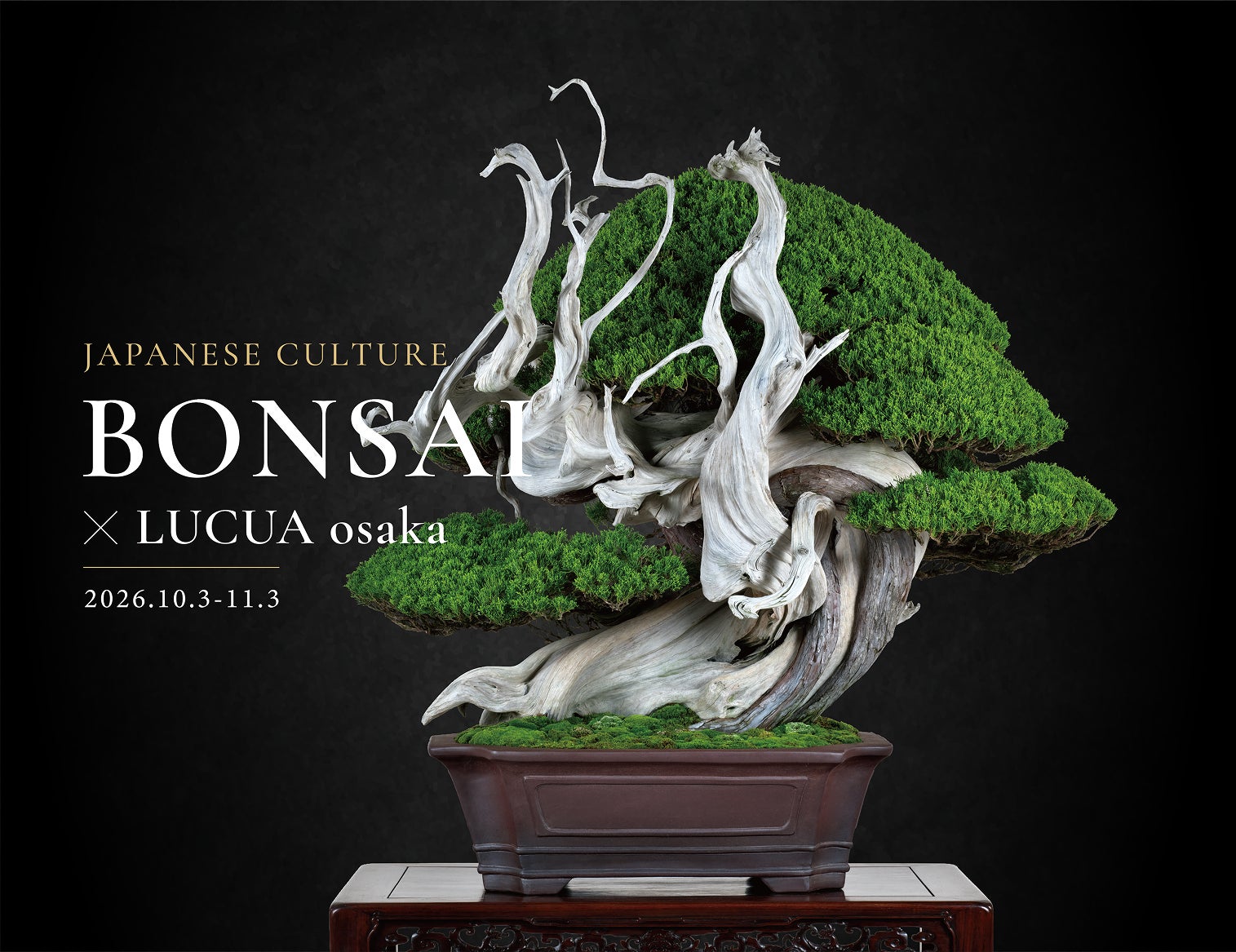 BONSAI × LUCUA osaka