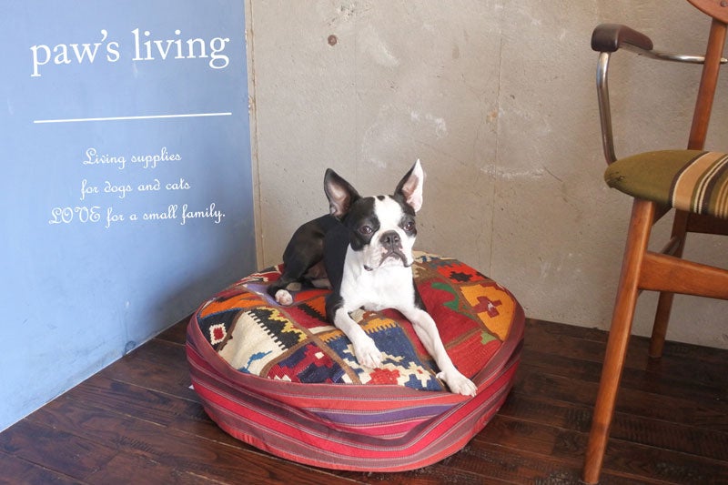 パウズリビング