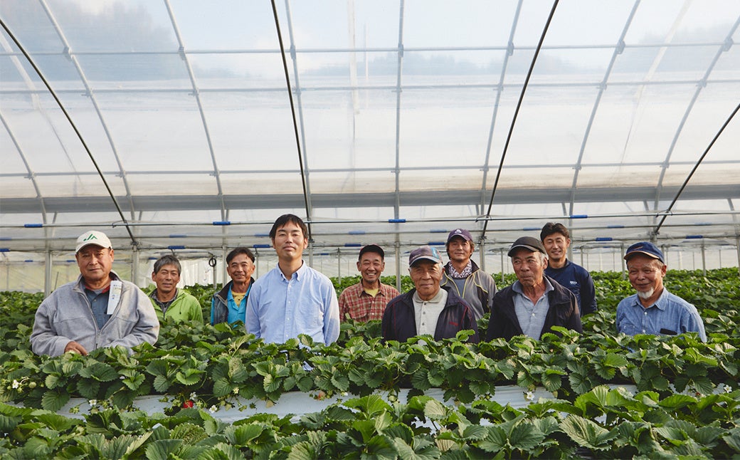 奈良県明日香村のいちご生産者の皆さん（写真 TOMOYASU NAKAO）