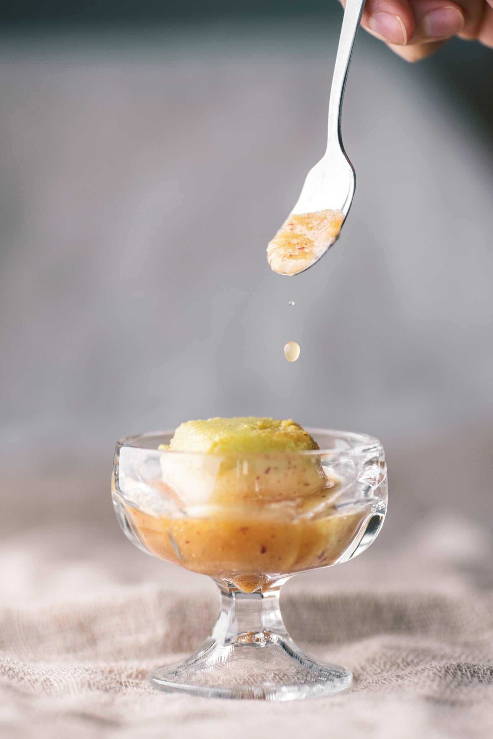 「まるごとVegan」ソルベ