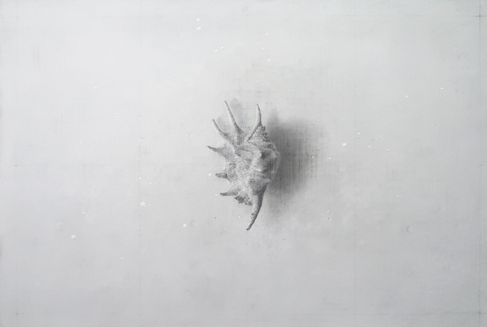 古賀充「存在のフィルター（貝殻）」 （ジェッソ・鉛筆、M12号） 313,500円（税込）