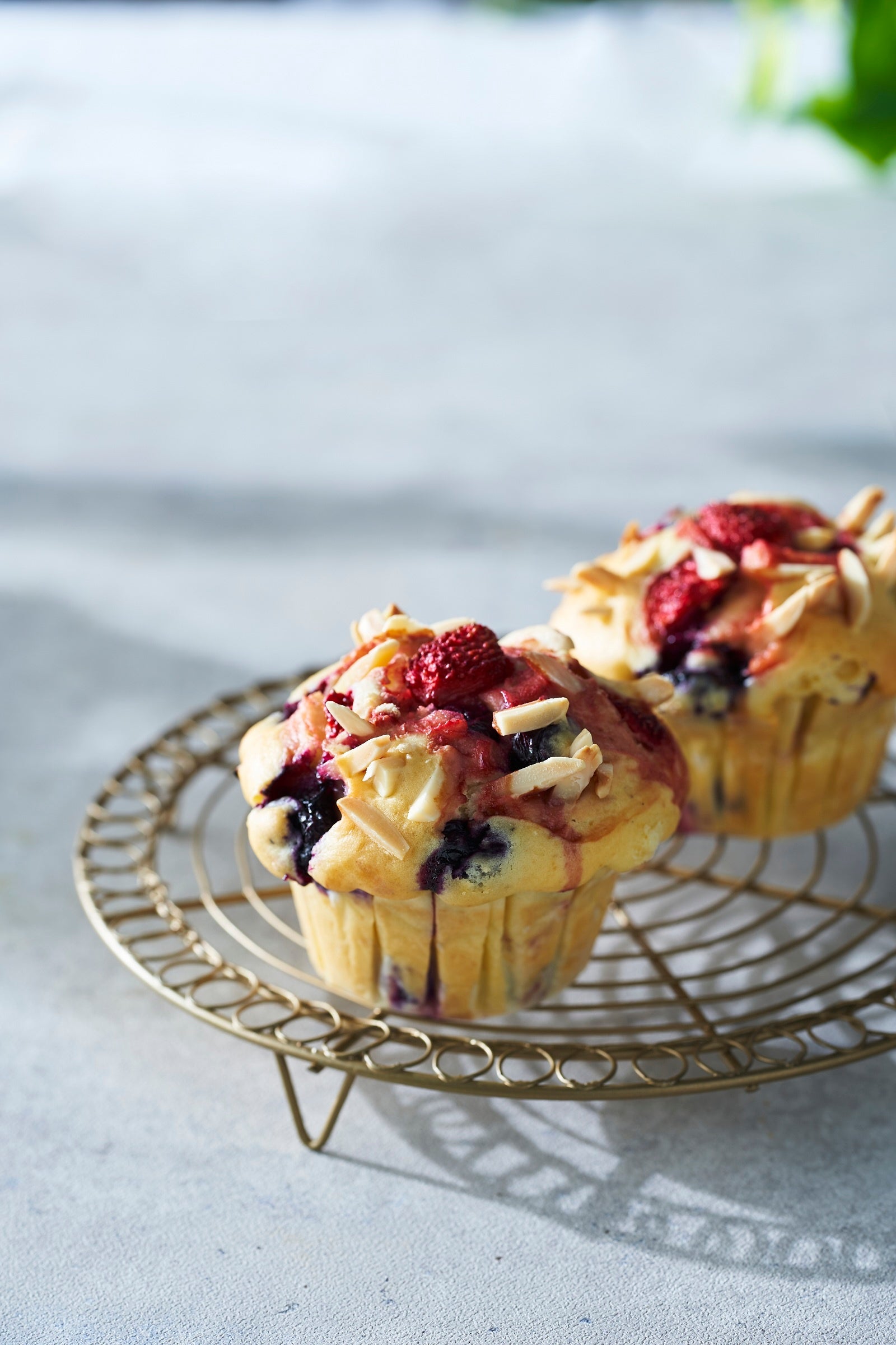 「アリスファーム」焼きたてマフィン・ハスカップティラミス（1個）451円※19日（火）までの販売