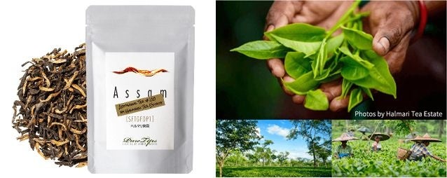 「インド紅茶専門ブランド ピュア‧ティップス」 アッサム‧ティーNo.100 SFTGFOP1 ハルマリ茶園(25g)2,268円