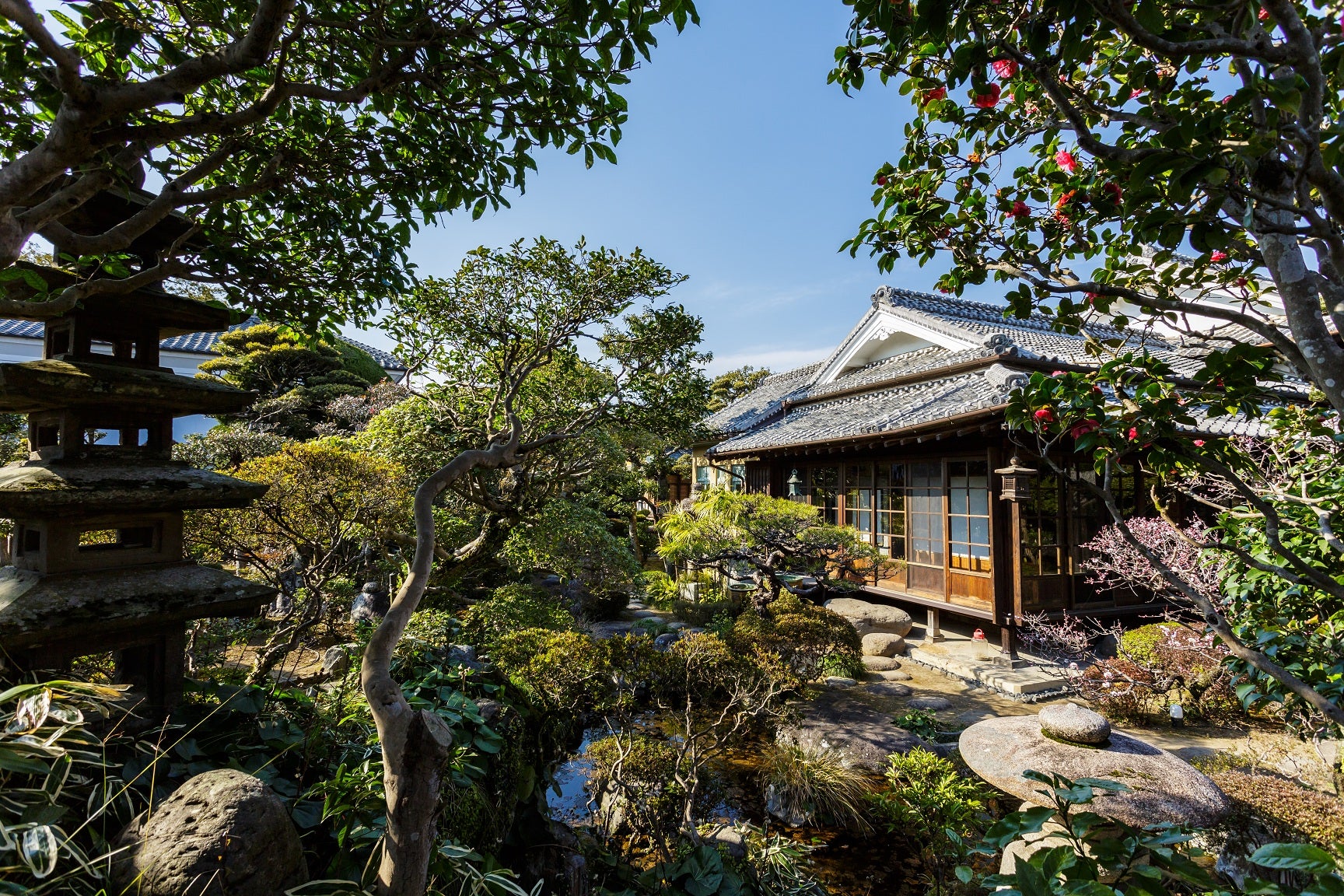 庭から見た母屋景観