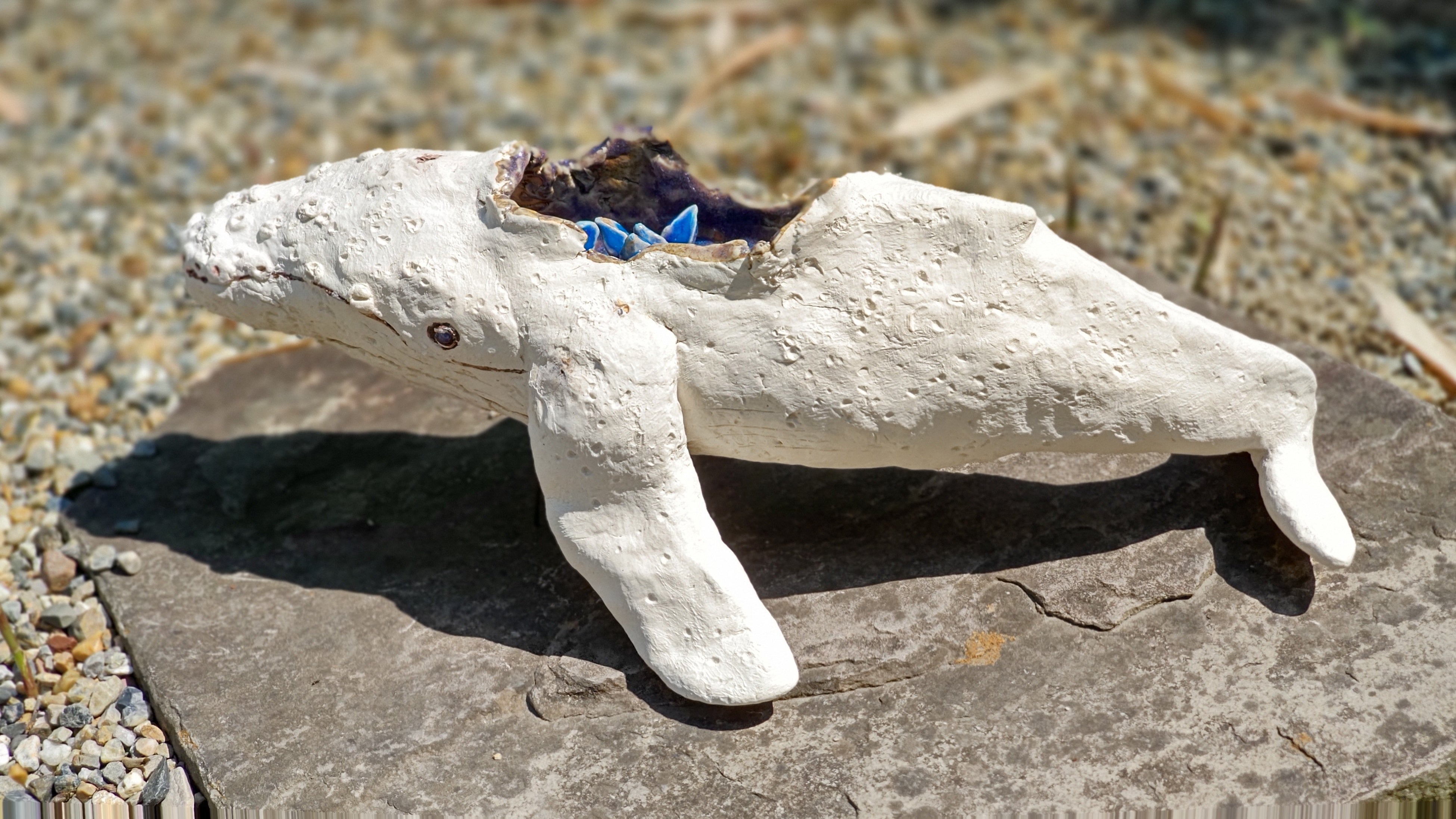 「ザトウクジラの宝物」 （信楽白土・黒みかげ土・釉薬、約35×18×14cm） 66,000円（税込）