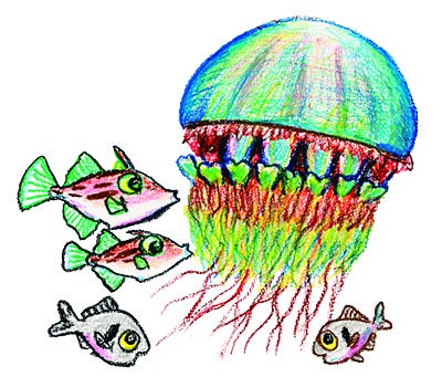 さかなクン Rare footage] Sakana-kun has been amazing for the past 24 years