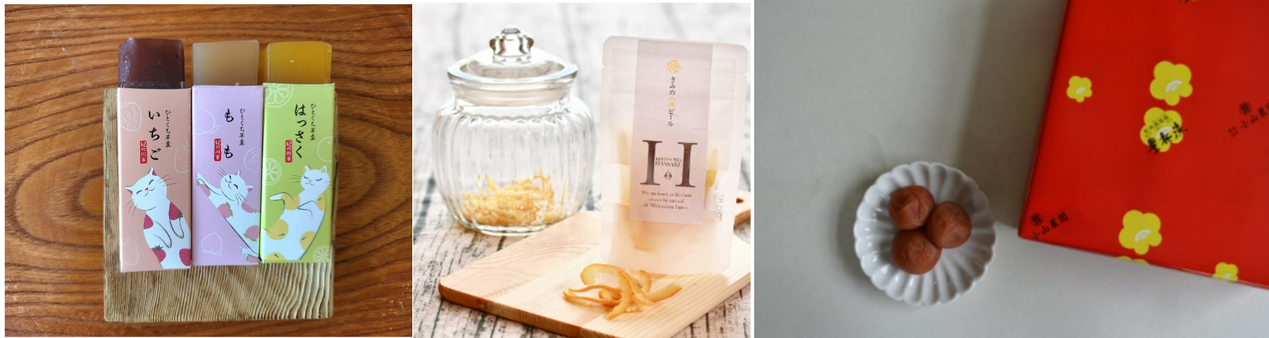 左：「紀の川フルーツ観光局」　　中：「海南海草地方広域観光協議会」　　右：「日高広域観光振興協議会」