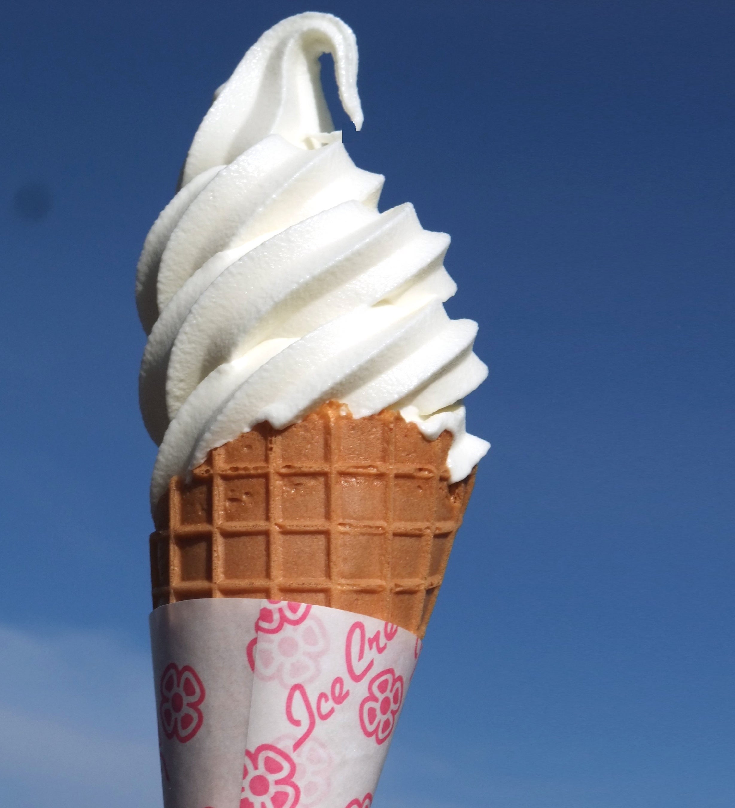 「十勝野フロマージュ」 カマンベールチーズソフト（(1個)440円