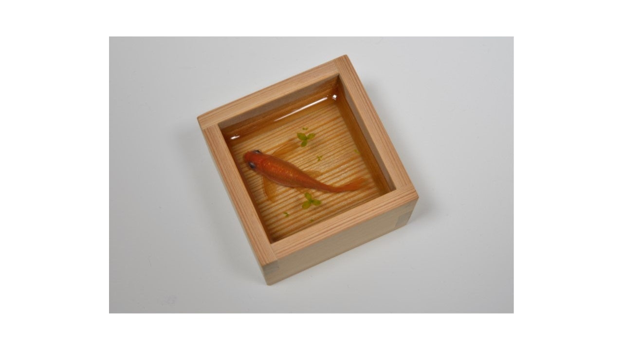 阪神梅田本店】深堀隆介展 | 株式会社阪急阪神百貨店のプレスリリース