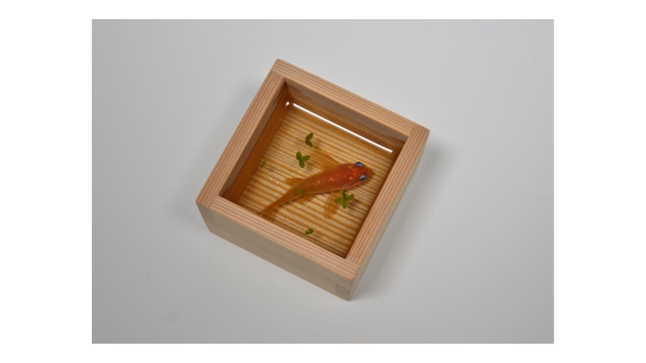「金魚酒　命名　緋嗣」 （赤杉五勺枡・超難黄変エポキシ樹脂・アクリ ル絵具、6.8×6.8×4.5cm） 660,000円　　　　　　 ※抽選販売となります。