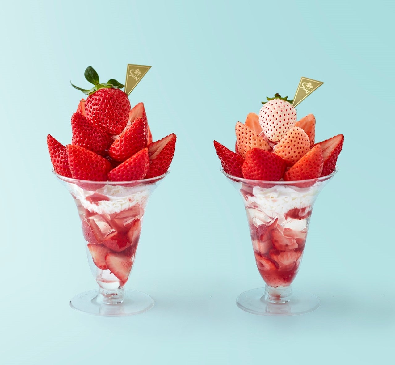 阪神梅田本店】 いちご尽くし！阪神のいちごとチョコフェス2023（vol