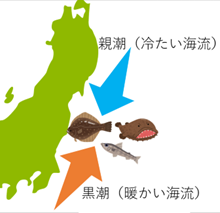 農林水産省ホームページより