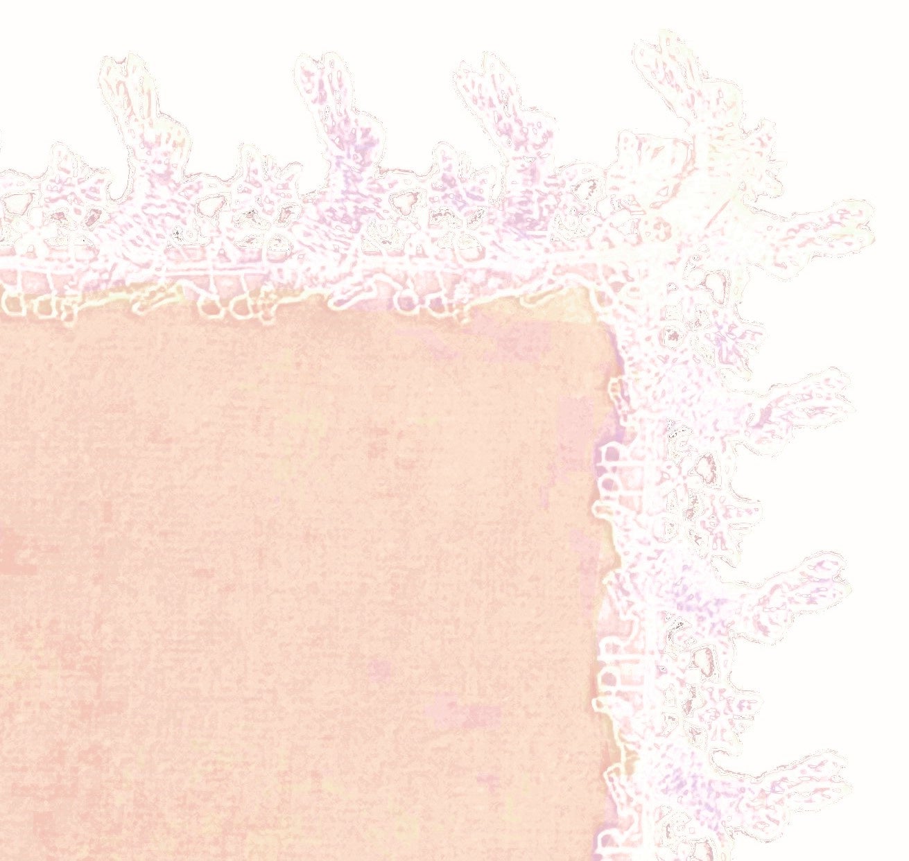 ピーターラビット™のかぎ編みレース