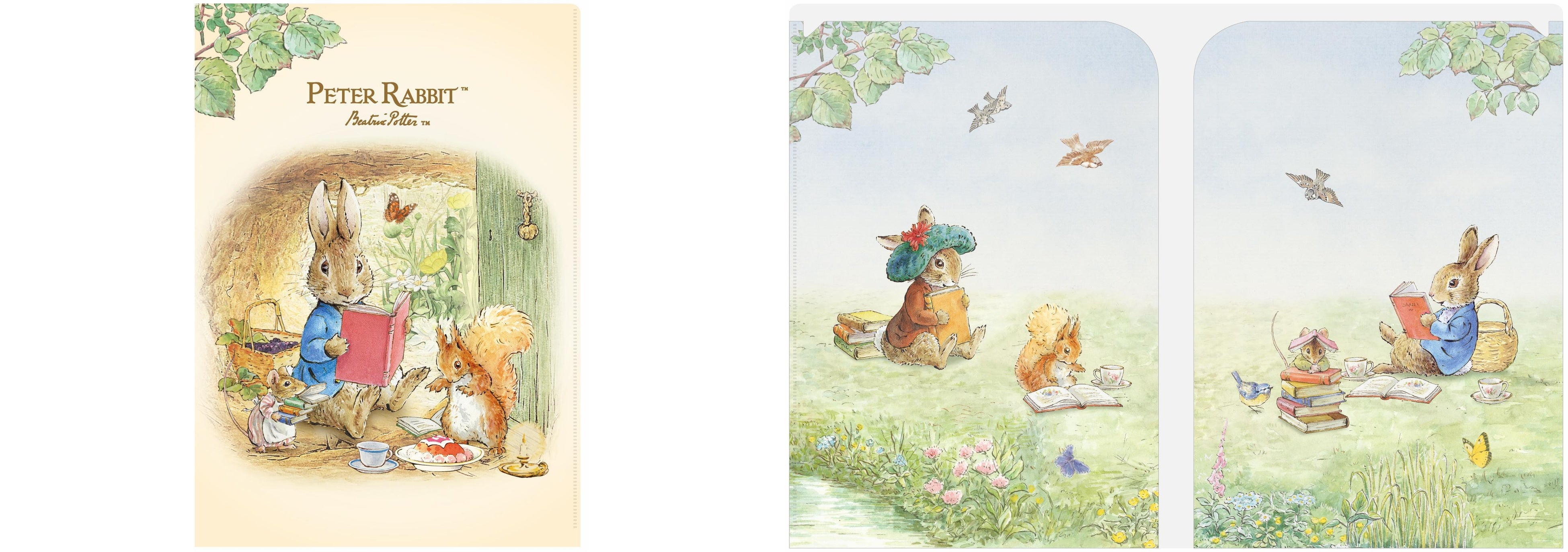 左：表　右：中面