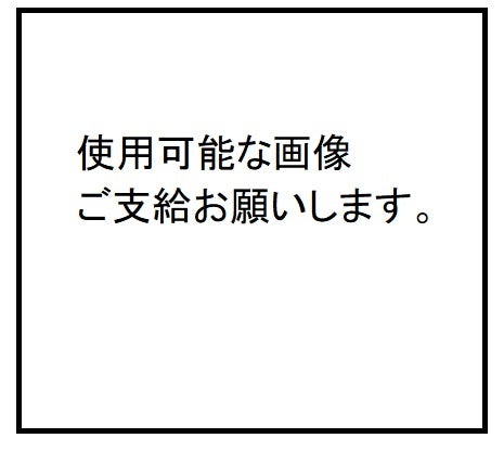 「シンシア・ガーデン」〇〇〇〇　〇〇〇〇円 、〇〇〇〇　〇〇〇〇円など