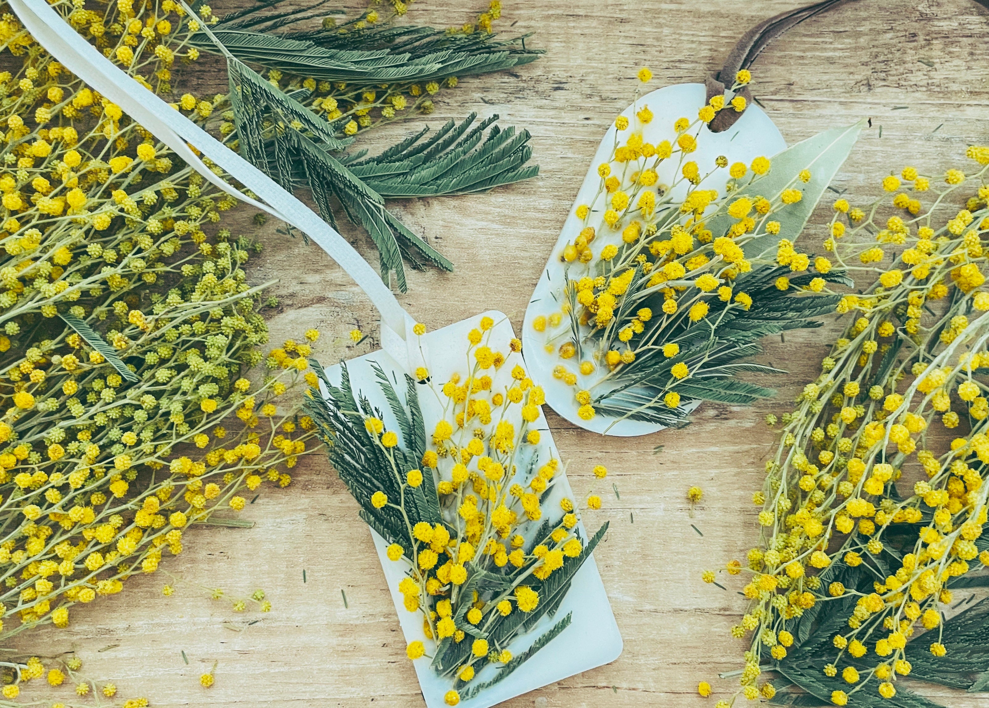 ※ワークショップ　作品イメージ