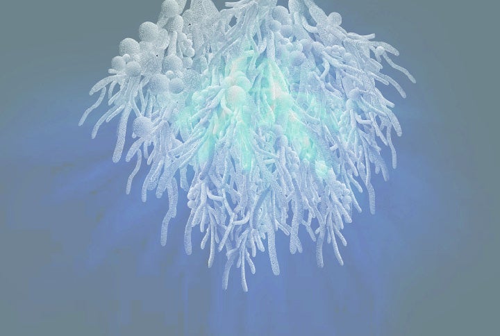 DAISY BALLOON「海 “生命の起源” ｣&nbsp; ｢ 根 “生命の集積” ｣　会場：阪急うめだ本店 １階 コンコースウインドー・９階 祝祭広場