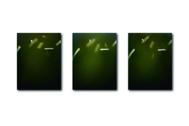 平野泰子　個展「山ではなく頂が平面であること」 会場：TEZUKAYAMA GALLERY