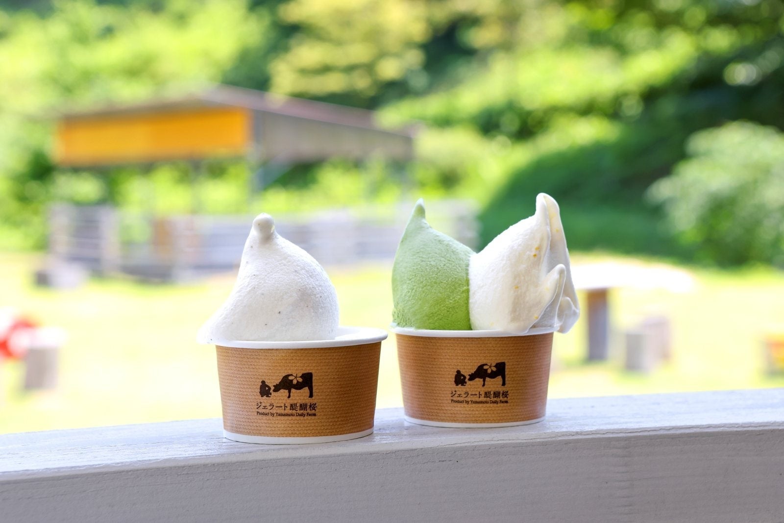 ジェラート シングル401円　ダブル501円　※画像はイメージ